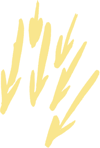 arrows